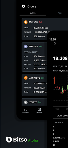 Bitso Alpha Pro ekran görüntüsü