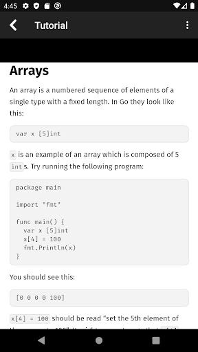 Go Programming Compiler ekran görüntüsü