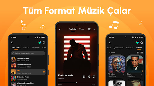 Çevrimdışı Müzik Audio Insigh ekran görüntüsü