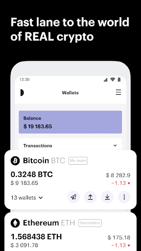 Paybis Crypto & Bitcoin Wallet ekran görüntüsü