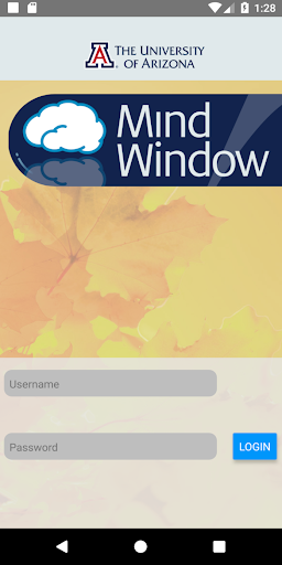 Mind Window ekran görüntüsü