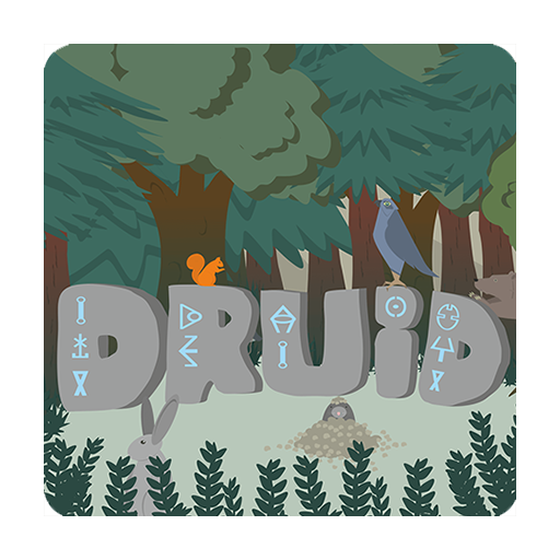 Druid