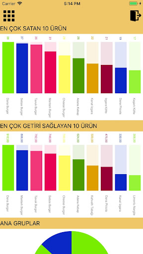 Orion Mobil Rapor ekran görüntüsü