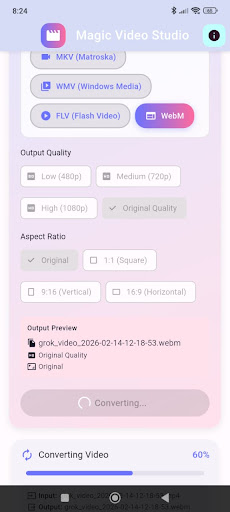 Video Converter ekran görüntüsü