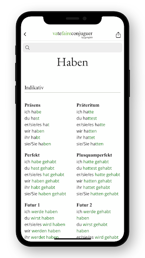 German conjugation ekran görüntüsü