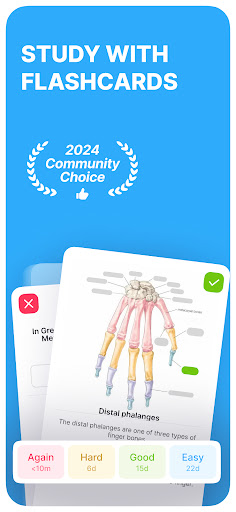 Noji: Flashcards ile öğrenin ekran görüntüsü