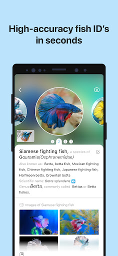 Picture Fish - Fish Identifier ekran görüntüsü