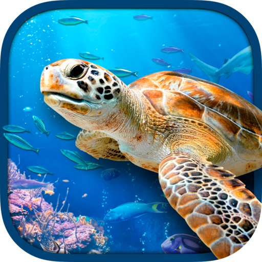 Virtual Reality OCEANS!