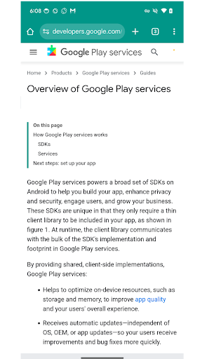 Services Info ekran görüntüsü