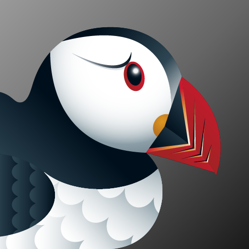 Puffin Gizli Tarayıcı