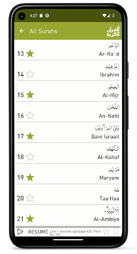 Quraan-E-Karim (13 Lines) ekran görüntüsü