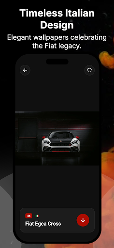 4K Fiat Wallpapers ekran görüntüsü