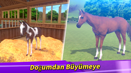 Derby Life ekran görüntüsü