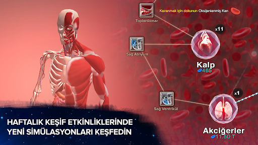 Tekillik için Hücre - Evrim ekran görüntüsü