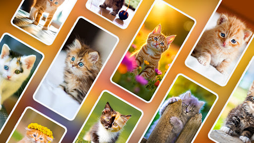 Kitten Wallpapers 4K ekran görüntüsü