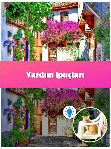 Farkları Bul 500 Fotoğraf 2 ekran görüntüsü