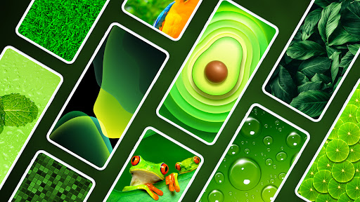 Green Wallpapers 4K ekran görüntüsü