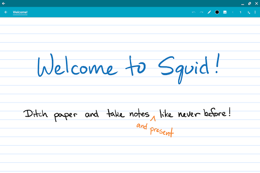 Squid EDU Bulk License ekran görüntüsü