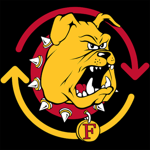 Ferris360