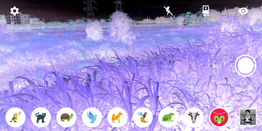 Animal Vision : OpenCV Filters ekran görüntüsü