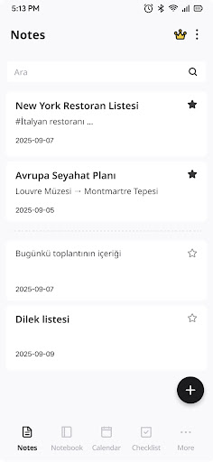 BaseNote: Notlar ve görevler ekran görüntüsü
