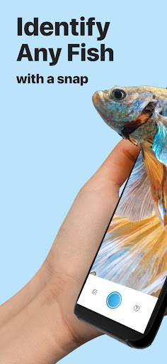 Picture Fish - Fish Identifier ekran görüntüsü