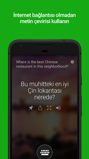 Microsoft Çevirmen ekran görüntüsü