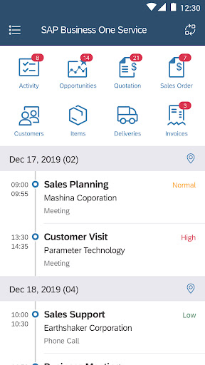 SAP Business One Sales ekran görüntüsü