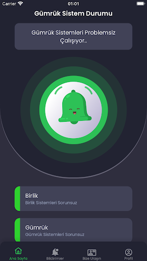 Gümrük Sistem Durumu ekran görüntüsü
