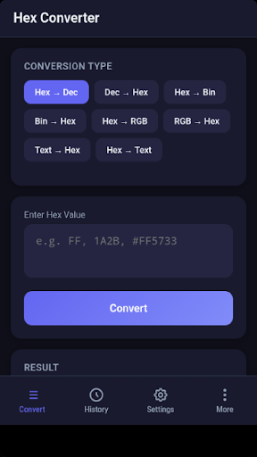 Hex Converter ekran görüntüsü