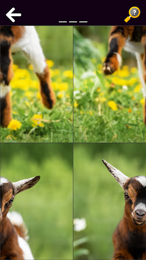 Funny Animals & Dinosaurs ekran görüntüsü