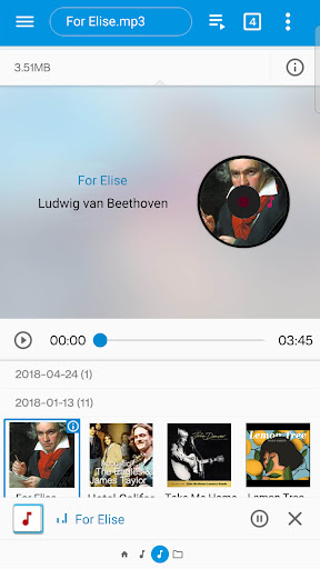 fooViewTheme - ES Classics ekran görüntüsü