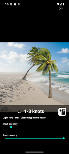 Palm Wind ekran görüntüsü