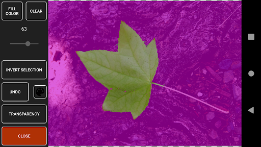 Photo Pop ekran görüntüsü