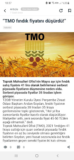 Fındık Borsası - 2024 Güncel ekran görüntüsü