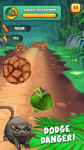 Kakapo Run ekran görüntüsü