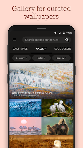 Bing Wallpapers ekran görüntüsü