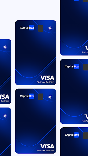 CapitalBox Business Account ekran görüntüsü