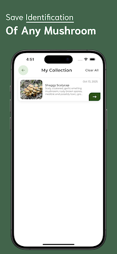 Mushroom Identifier ekran görüntüsü
