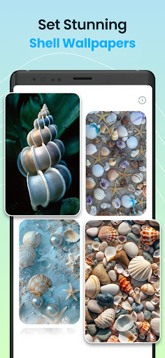 Seashell Identifier App ekran görüntüsü