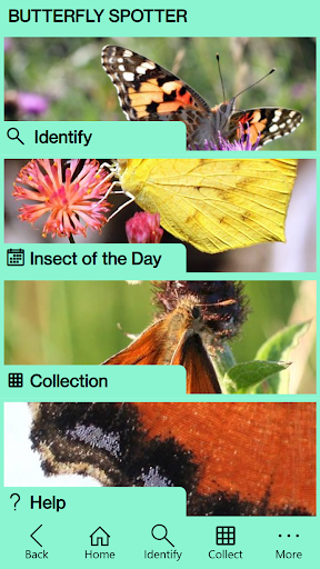 Butterfly Spotter ekran görüntüsü