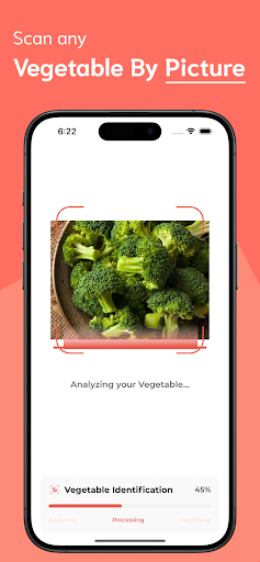 Vegetable Identifier ekran görüntüsü