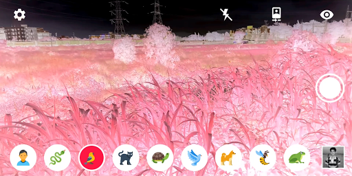 Animal Vision : OpenCV Filters ekran görüntüsü