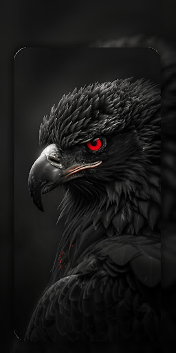Eagle Wallpaper 4K ekran görüntüsü