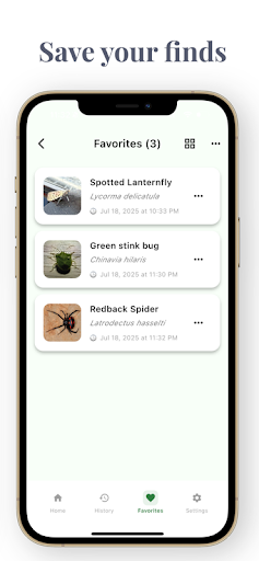 AI Insect Bug Identifier ekran görüntüsü