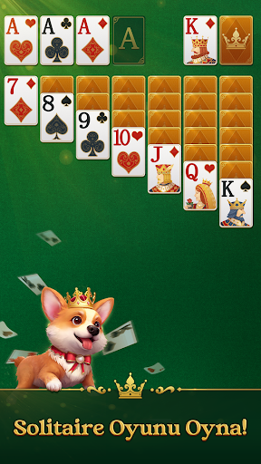 Jenny Solitaire - Kart Oyunlar ekran görüntüsü