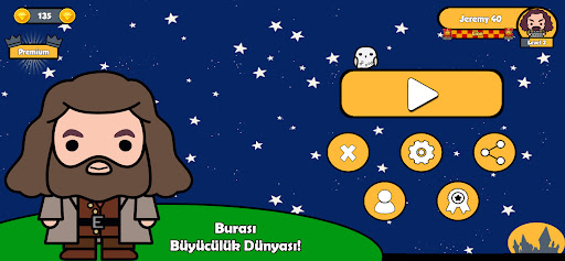 Harry Büyücülük Boyama ekran görüntüsü
