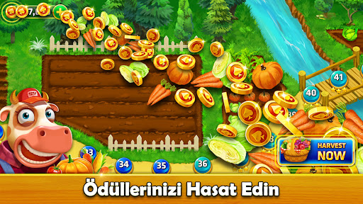 Solitaire TriPeaks - Çiftlik ekran görüntüsü
