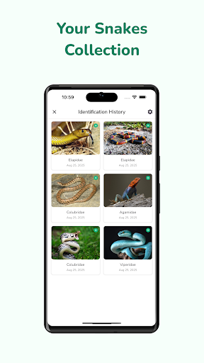 Snake Identifier: AI Scanner ekran görüntüsü