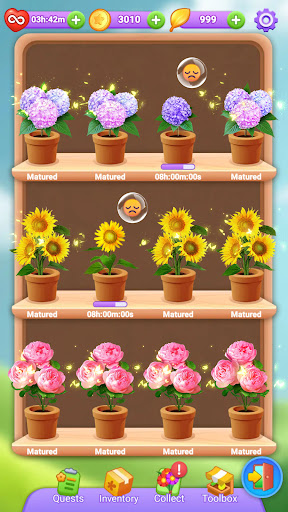 Flower Collect: Çiçek Oyunları ekran görüntüsü